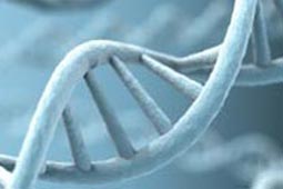 手机号网页在线轰炸源码